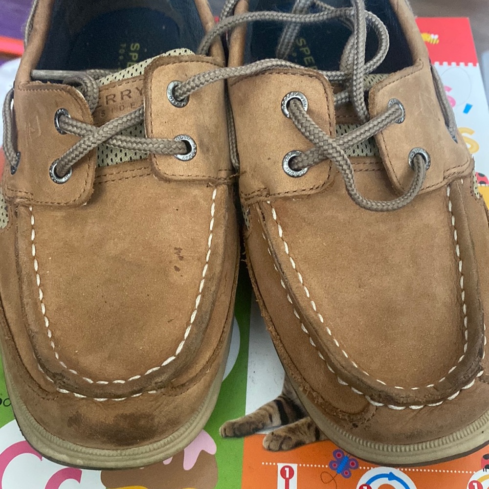 Sperry shoes
